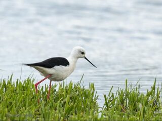 Heb oog voor het moois om ons heen: voeg jouw eigen stad toe aan je bucketlist