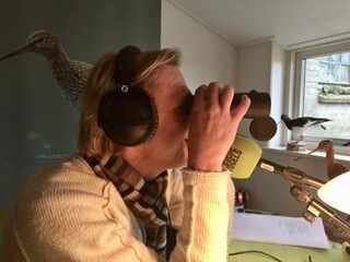 Gaan deze 4 initiatieven grutto van ondergang redden?