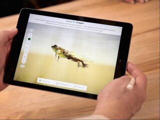 WHO: kleuters niet meer dan een uur per dag achter een scherm