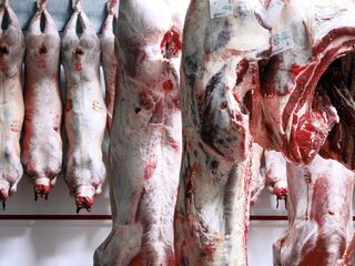 'Is het vlees uit de slachthuizen onveilig?' Vragen en antwoorden uit het coronaspreekuur