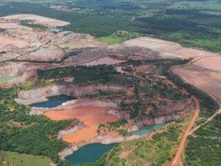 Hoe natuurbeschermers de dood in worden gejaagd door houtbedrijven
