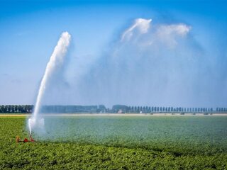 3 aanpassingen om Nederland hittebestendig te maken
