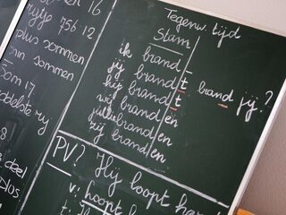 Stand.nl: We moeten de Nederlandse taal meer omarmen