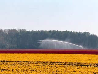 Bollengif in babyluiers leidt tot gezondheidsrisico's