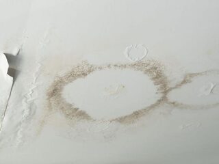 Na regen komt lekkage: 'We zijn ten einde raad, na vijf jaar overstroomt de kelder nog steeds'