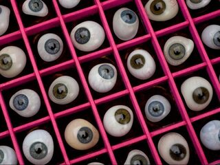 Wat bepaalt tot hoever je kunt komen in het leven?