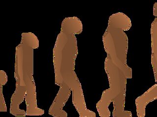 Daar waar oermeisje Lucy botst met Lady Gaga