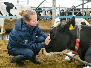 'Weinig mensen hebben reëel beeld van hoe hard boeren werken'