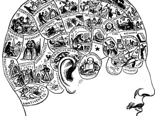 Zomerlezen in het Donker: De hersenverzamelaar