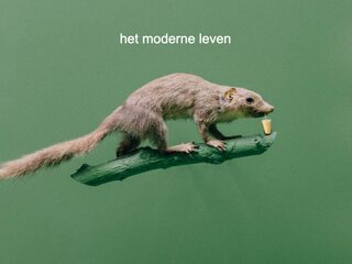 Hoe kunnen we een leven leiden dat beter bij ons lichaam past?