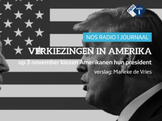 De Stemming in de VS