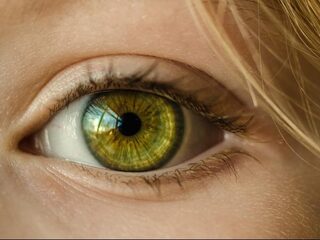 Primeur: tekenen van bewustzijn opgewekt bij vegetatieve patiënt