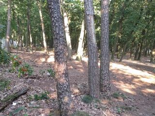 Wie zijn de mannen die naar mannenontmoetingsplekken gaan?