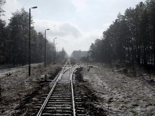 Overlevenden vernietigingskamp Sobibor sloegen Nazi's met bijl dood