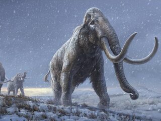 Wetenschappers vinden oudste DNA ooit