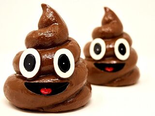 Kindervragen: hebben mensen die hetzelfde eten ook dezelfde poep?