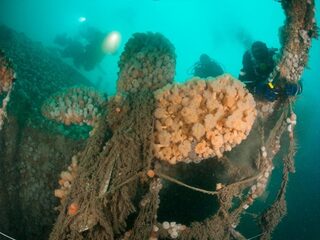 Willem Heijdeman duikt de Noordzee schoon