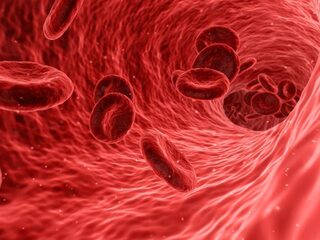 Nitric oxide is hét wonderstofje voor onze gezondheid en aanmaken is heel simpel