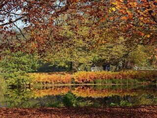 2017 kent een vroege herfst