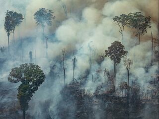 Stand.nl: Bolsonaro verzet zich terecht tegen de buitenlandse bemoeienis met het Amazonegebied