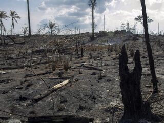 Brazilië weigert G7-geld voor Amazone-branden