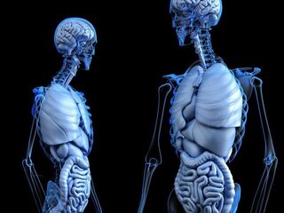 Onderzoek bij muizen toont aan: parkinson kan in darmen ontstaan