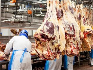 Podcast De Dag: Hoe corona ons dwingt anders naar vlees te kijken