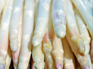 Asperges koken voor de koning: een droom die uitkomt voor Dick Middelweerd