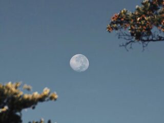 5 vragen over water op de maan