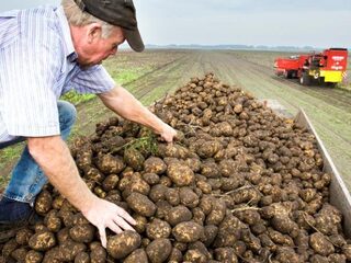 Moet de EU het betwiste bestrijdingsmiddel glyfosaat verbieden?
