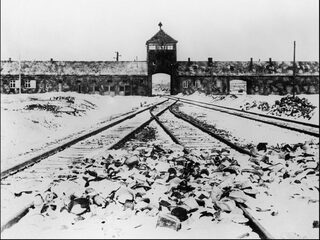 Auschwitz-bevrijder blikt terug: 'Ik zag massa's doden, kubieke meters mensenhaar en goud in alle maten'