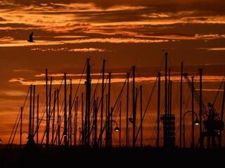 Nederland heeft warmste nacht ooit gemeten
