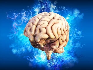 Wat verandert er in de hersenen als we ouder worden?