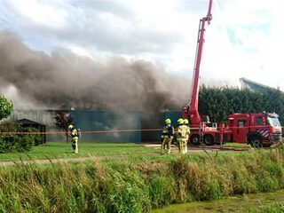 'De Kamer vindt het blijkbaar prima dat dieren levend affikken'