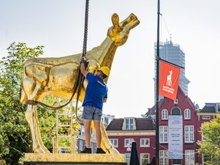 Deze 3 films moet je zien op het Nederlands Film Festival