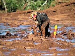 Waarom de dammen in Brazilië maar blijven breken
