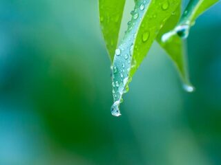 'We hebben stilte nodig'