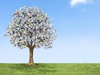 Geld is niet langer neutraal: banken gaan groen