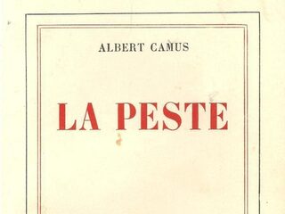 We lezen massaal De Pest van Camus, en terecht