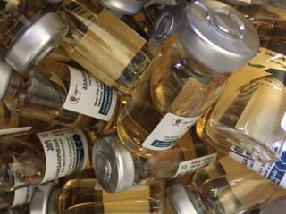 Bacteriofagen nog niet het alternatieve wondermiddel voor antibiotica