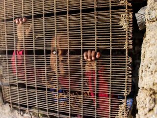 Jemen: bijna 1000 dagen oorlog en vooral kinderen slachtoffer