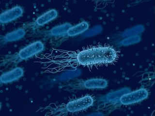 Met deze bacteriën kun je CO2 uit de lucht halen