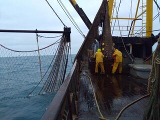 Hoe komen de mensen in de visindustrie door de coronacrisis heen?