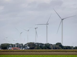 Kunnen we de levens van talloze vogels redden met een beetje lawaai?