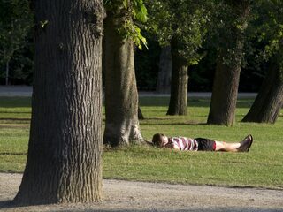 Leren tijdens het slapen: zo doet je hoofd dat