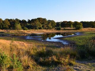 Natuur zucht onder enorme droogte: hoe lossen we droogtecrisis op?