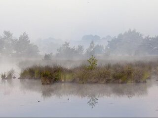 Petitie tegen megastal bij de Kampina