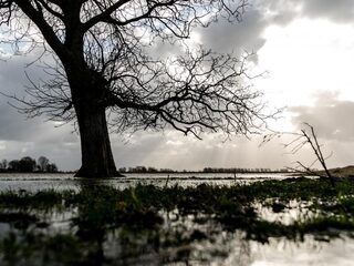 Biesbosch deels afgesloten tijdens pinksterweekend, 'natuur lijdt onder overlast boten'