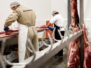 D66 wil opfokverbod: boeren boos