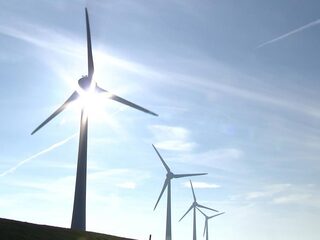 Enkele tientallen gemeenten zien grote windmolens of zonneparken niet zitten
